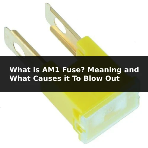 am1 fuse 60A